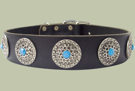 Leather Designer dog collar for MASTIFF