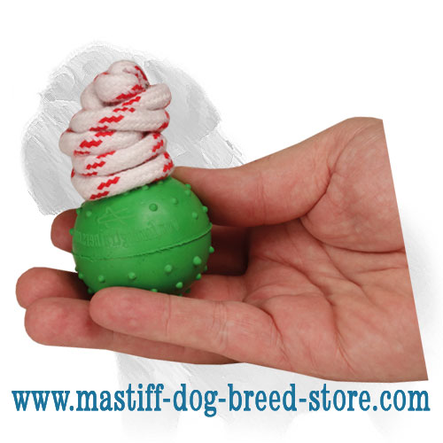 'Joy & Train' Mastiff Dog Solid Rubber Ball - Click Image to Close