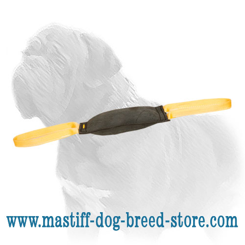'Firm Bite' Mastiff Leather Training Tug