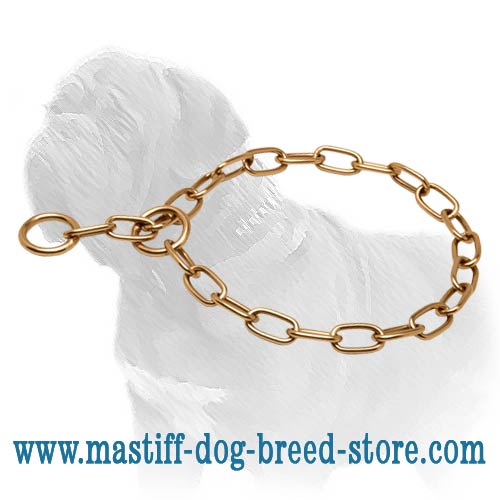 Gold-like Mastiff Dog Metal Collar