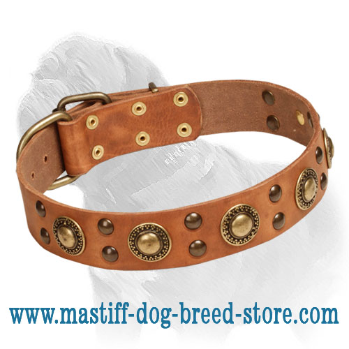 golden knights dog collar