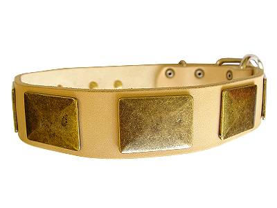 Handmade Leather Mastiff Collar With Brass Massive Plates