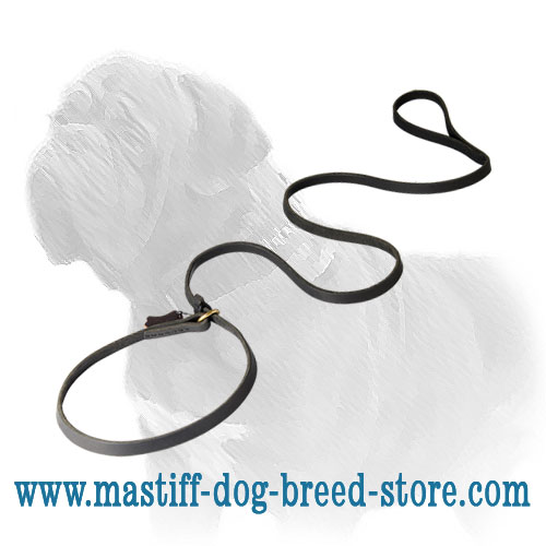 Amazing Combo Mastiff Dog Leash and Choke Collar of Full Grain Leather