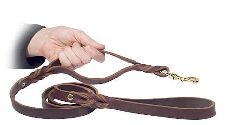 Have dog training lead 5 FT for Mastiff training