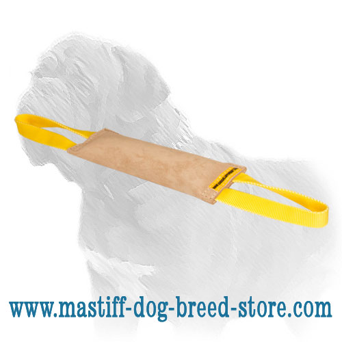 Retrieve Building Mastiff Training Dog Bite Tug