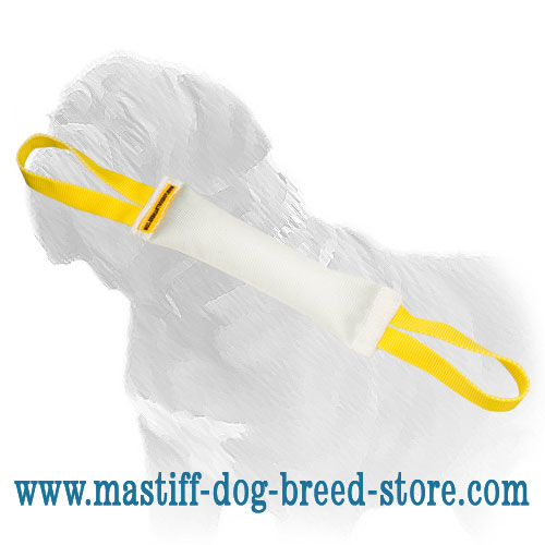 Mastiff Training Fire Hose Dog Bite Tug