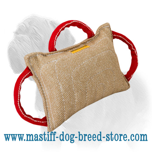 Absolutely Safe Mastiff Dog Training Bite Pad