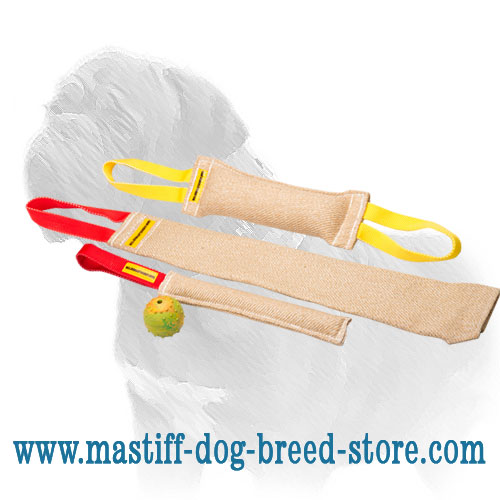 Mastiff Training Set of Strong Jute Tugs with Joyful Gift