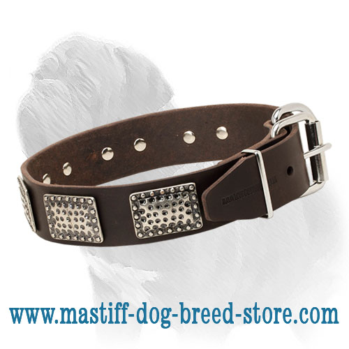 Unusual Design Mastiff Dog Collar with Steel Nickel Plated Plates