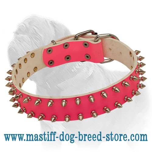 What Does A Red Dog Collar Mean