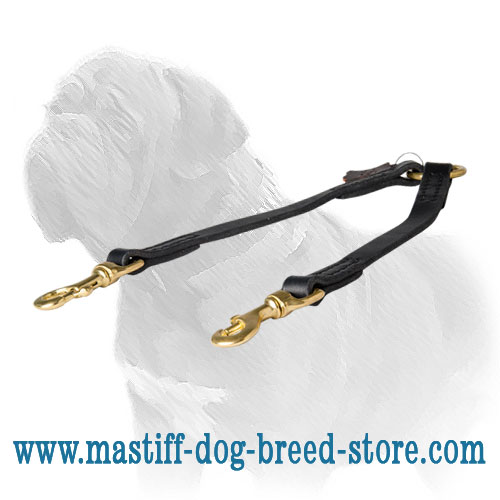 '2 Pets Walking' Mastiff Dog Coupler Leash