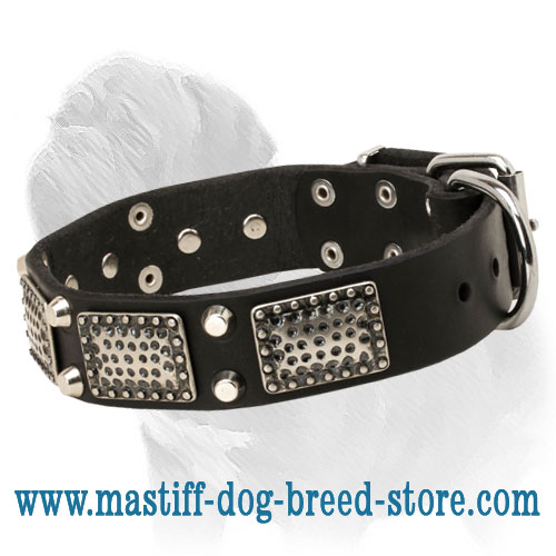 'Back to 20s' Dog Collar for Mastiff with Bright Old-Looking Adornment