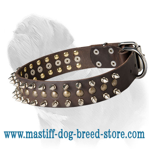 Way-out Mastiff Dog Collar with Spikes and Brass Half-Ball Studs
