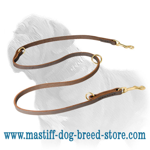 Heavy Duty Stitched Mastiff Dog Leash