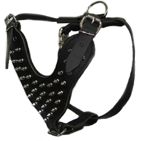 English Mastiff Spiked leather dog harness-Deluxe spiked harness