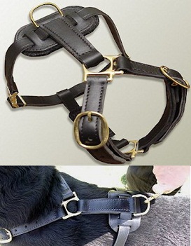 Found Leather tracking harnesses for Mastiff