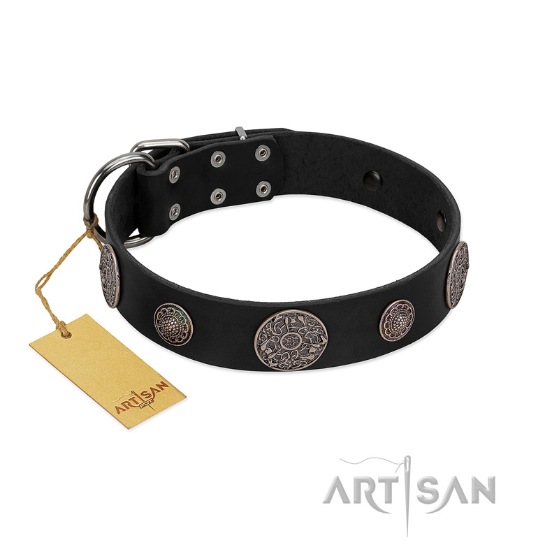 "Ad Infinitum" Durable FDT Artisan Black Leather Mastiff Collar with Chrome Plated Brooches