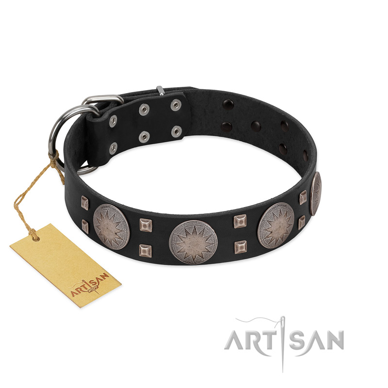 "Sun in Shining" Modern FDT Artisan Black Leather Mastiff Collar with Studs and Stars