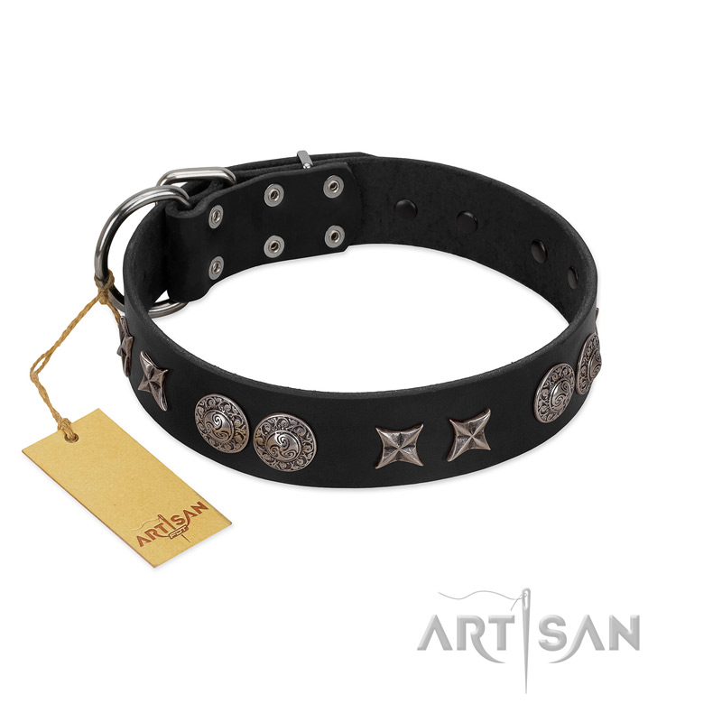 "Scythian Silver" Stylish Handmade FDT Artisan Black Leather Mastiff Collar