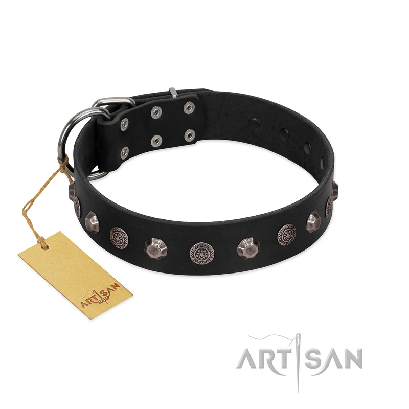 "Black Knight" Handmade FDT Artisan Black Leather Mastiff Collar with Silver-Like Studs