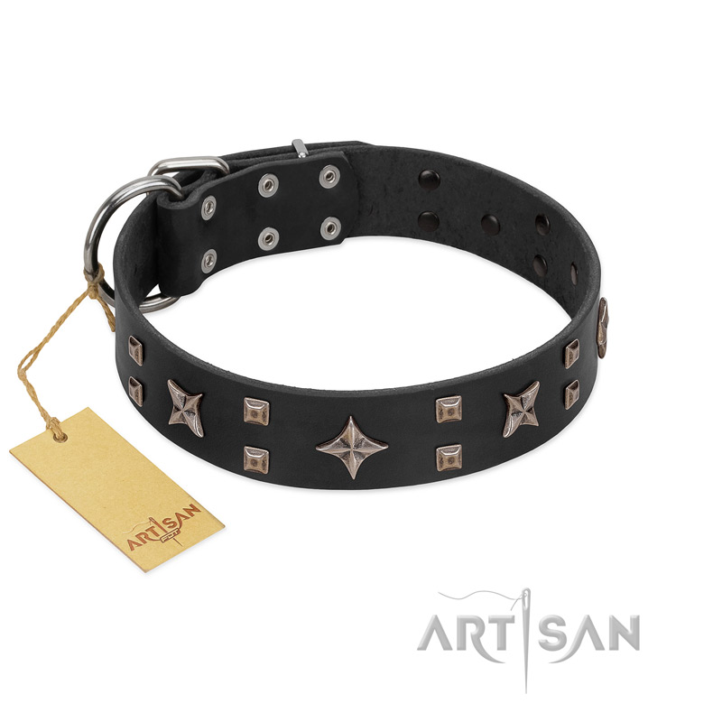 "Star Excitement" Modern FDT Artisan Black Leather Mastiff Collar with Studs and Stars