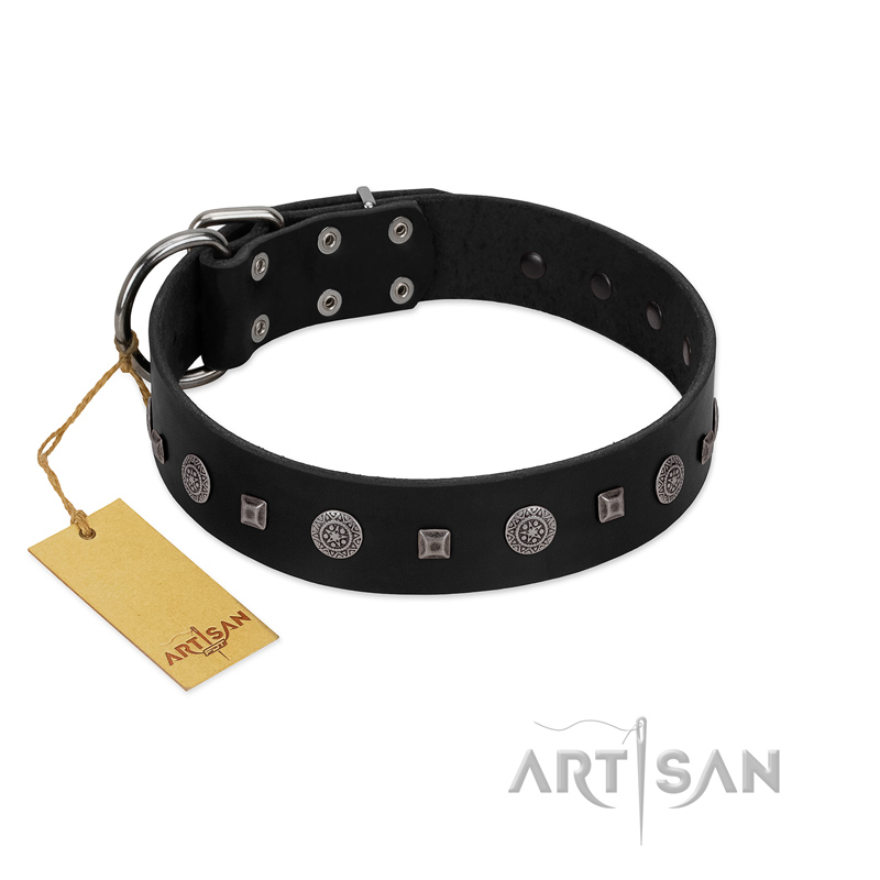 "Mr. Elegance" Designer FDT Artisan Black Leather Mastiff Collar with Silver-Like Studs
