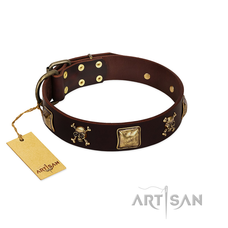 "Crazy Pirate" FDT Artisan Brown Leather Mastiff Collar with Old Bronze-Plated Skulls and Plates
