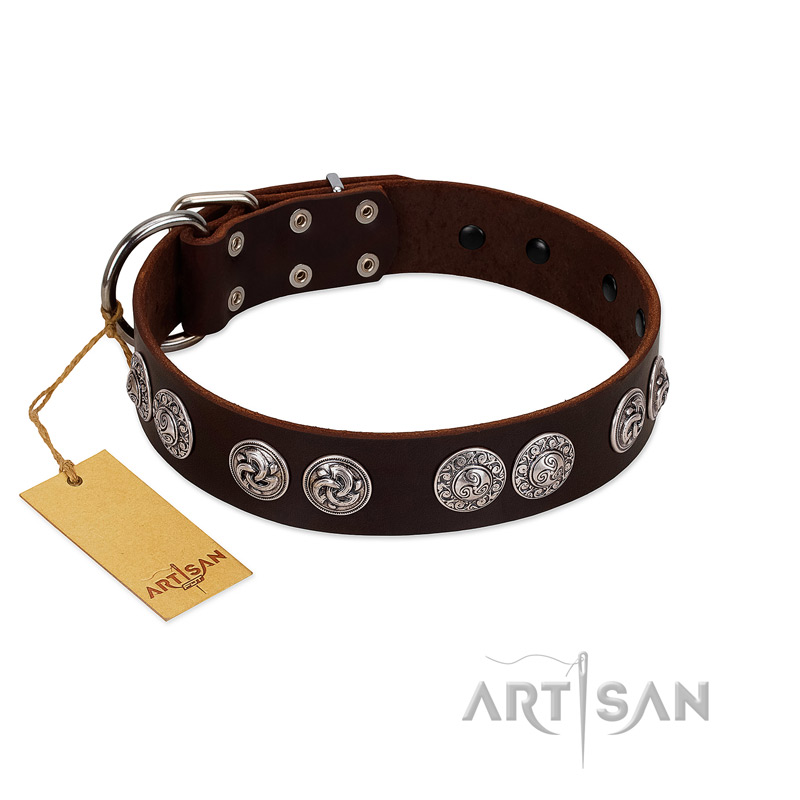 "High and Mighty" FDT Artisan Classy Brown Leather Mastiff Collar with Embellished Brooches - Click Image to Close