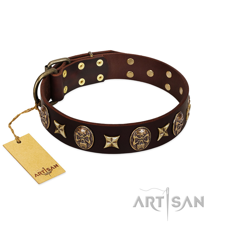 "Captain Hook" FDT Artisan Brown Leather Mastiff Collar with Stars and Skulls