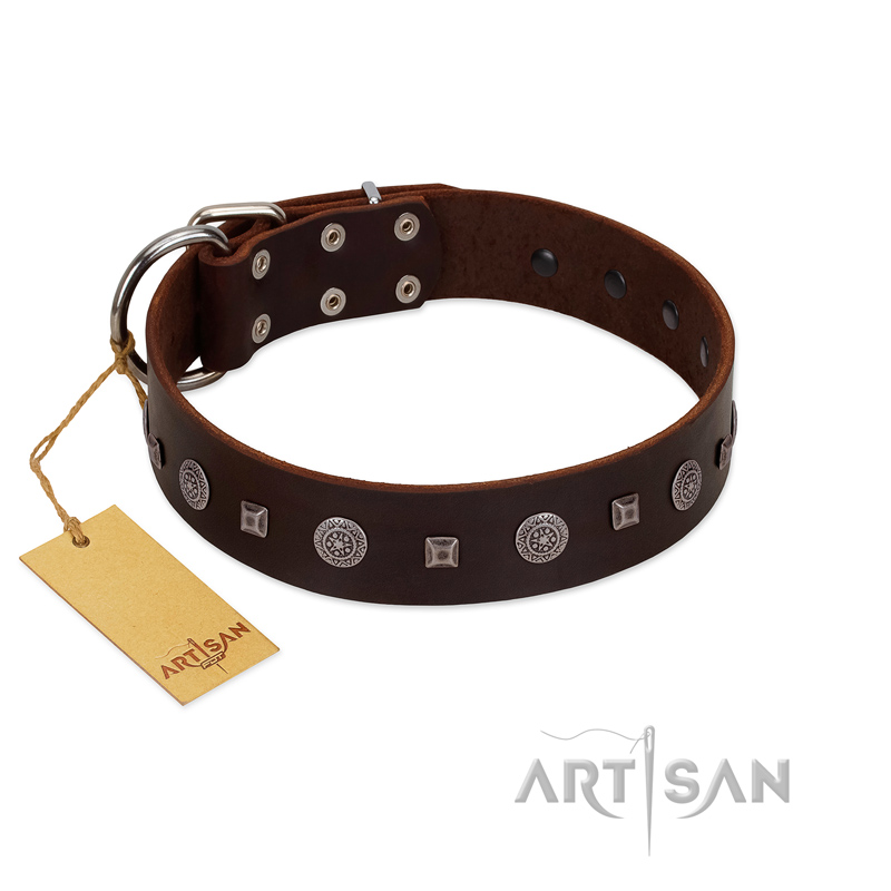 "Pure Sensation" Exclusive FDT Artisan Brown Leather Mastiff Collar with Fancy Brooches and Studs