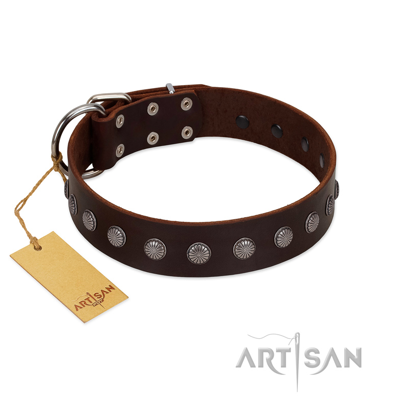 "Spring Flower" Stylish FDT Artisan Brown Leather Mastiff Collar for Comfy Walks