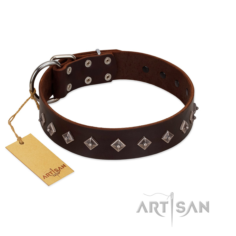 "Boundless Energy" Premium Quality FDT Artisan Brown Designer Leather Mastiff Collar with Small Pyramids