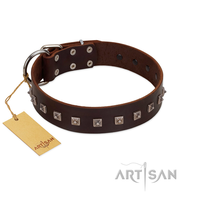 "Kingly Grace" FDT Artisan Brown Leather Mastiff Collar with Silver-like Dotted Studs