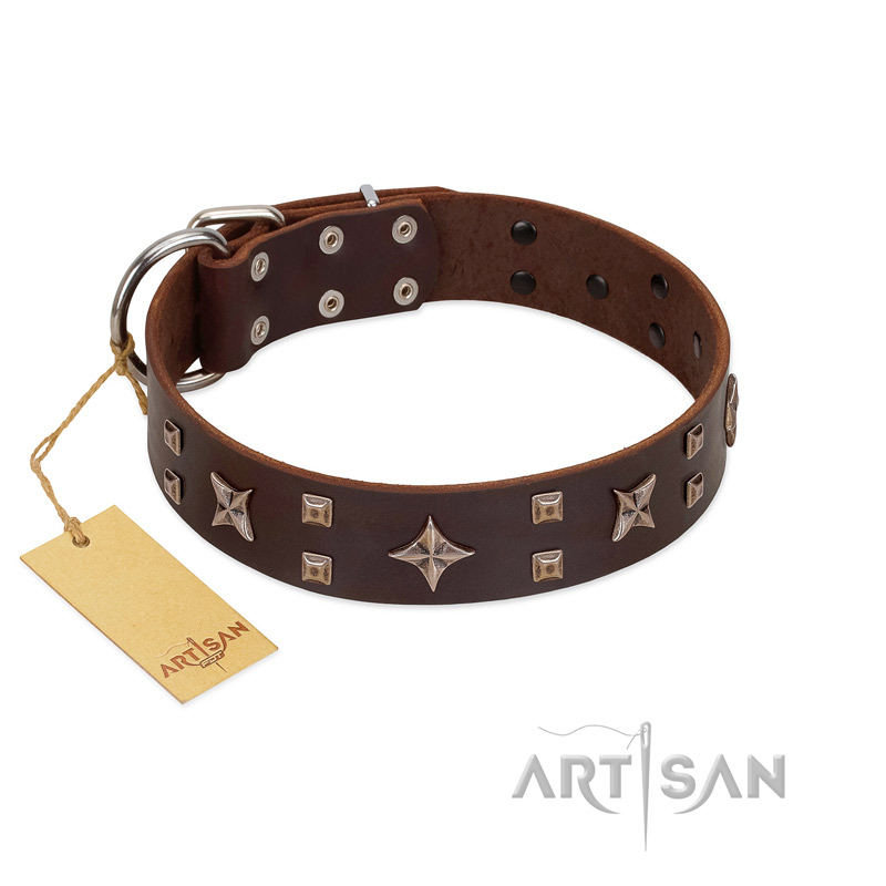 "Stars in Sands" Modern FDT Artisan Brown Leather Mastiff Collar with Studs and Stars - Click Image to Close
