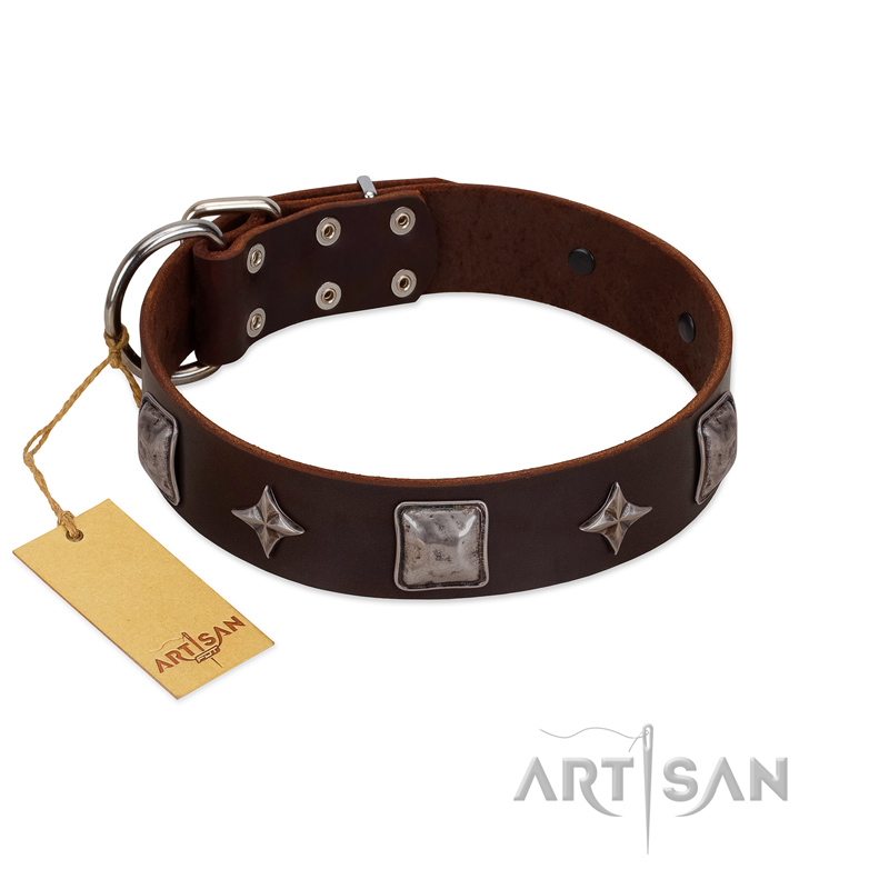 "Cold Star" Designer FDT Artisan Brown Leather Mastiff Collar with Silver-Like Adornments