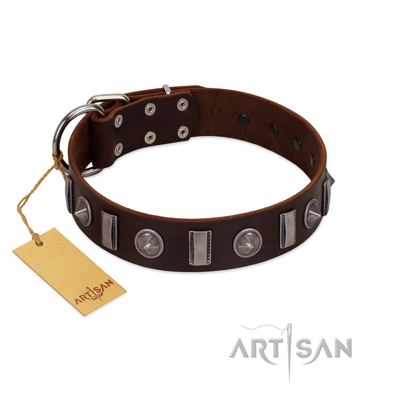 "Spiky Way" FDT Artisan Brown Leather Mastiff Collar with Silver-Like Decorations