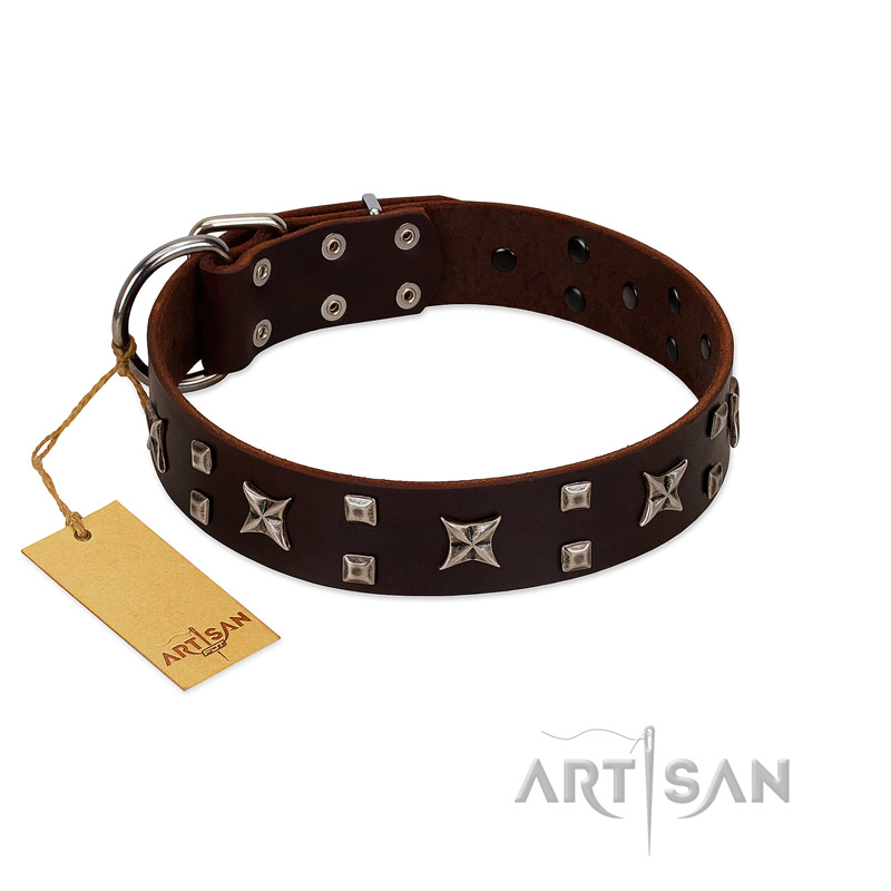 "Bigwig Woof" FDT Artisan Brown Leather Mastiff Collar with Chrome Plated Stars and Square Studs