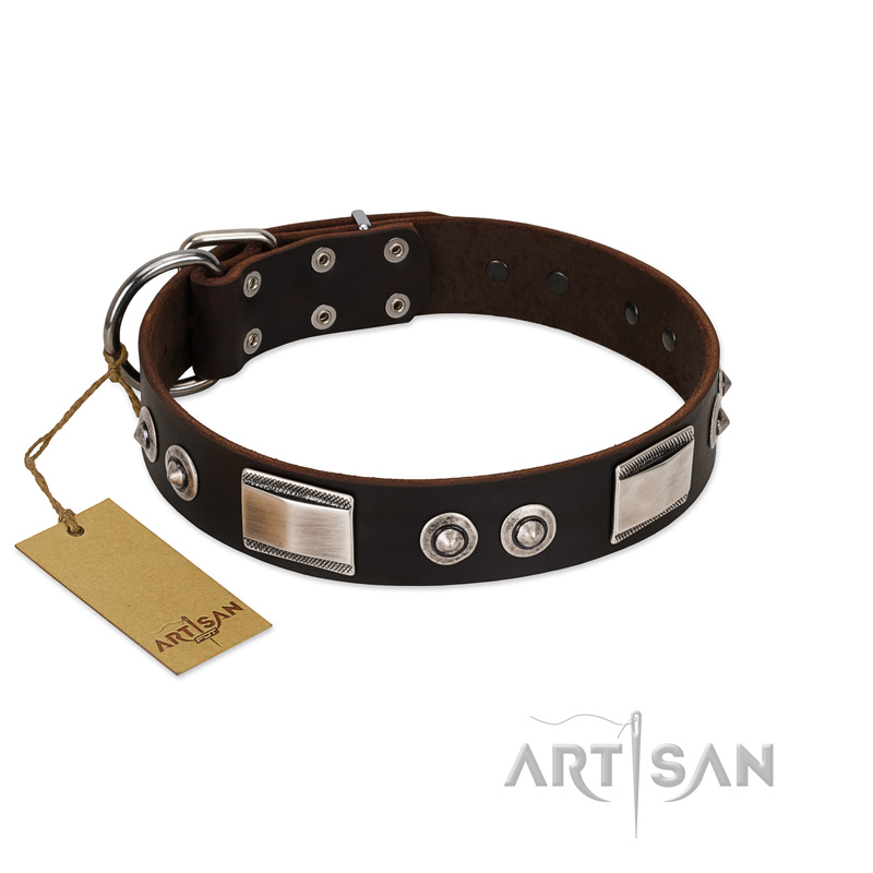 "Baller Status" FDT Artisan Brown Leather Mastiff Collar Adorned with a Set of Chrome Plated Studs and Plates