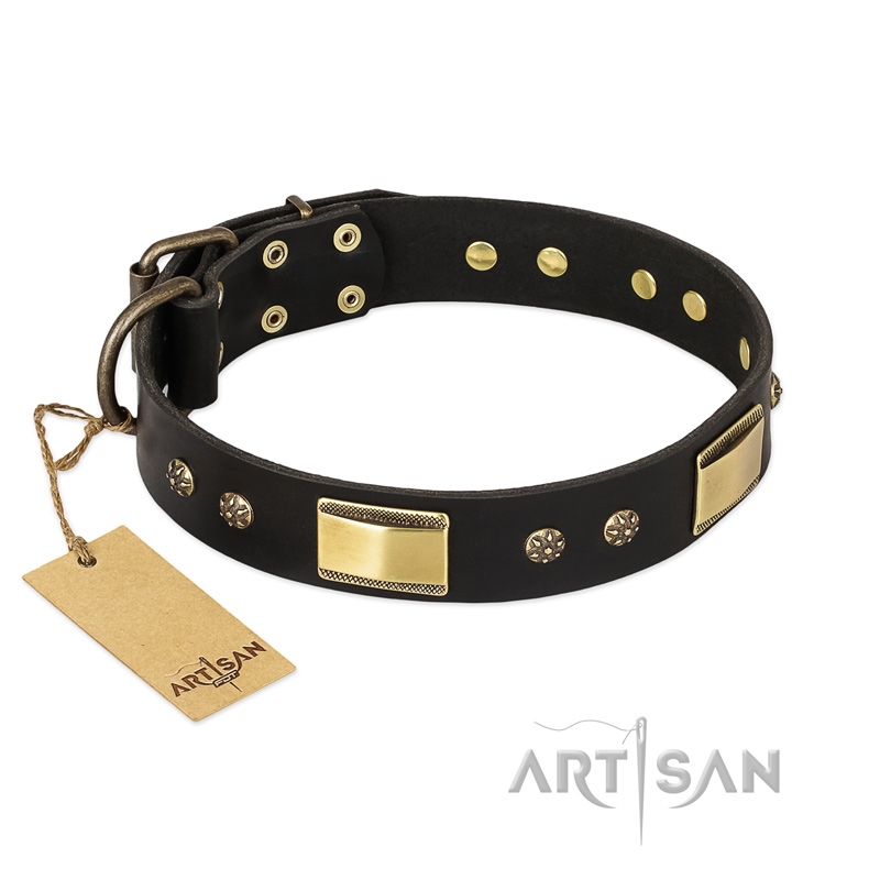 "Black Sun" FDT Artisan Leather Mastiff Collar with Brass Plated Decorations