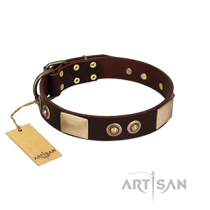 "Sense of Freedom" FDT Artisan Brown Leather Mastiff Collar with Old Bronze-Plated Studs and Plates