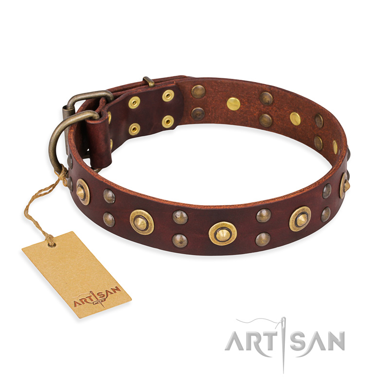 "Caprice of Fashion" FDT Artisan Brown Leather Mastiff Collar with Round Decorations