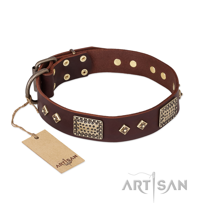 "Loving Owner" FDT Artisan Decorated Leather Mastiff Collar with Plates and Studs