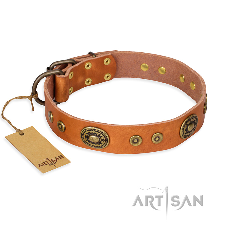 "Dandy Pet" FDT Artisan Handcrafted Tan Leather Mastiff Collar