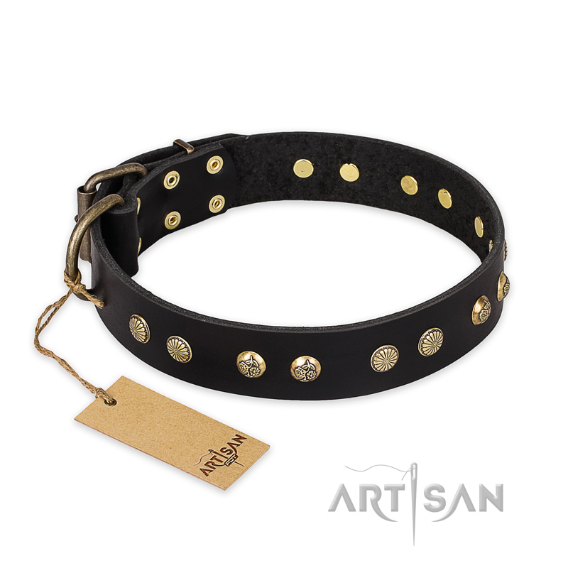 "Black Elegance" FDT Artisan Leather Mastiff Collar with Round Studs
