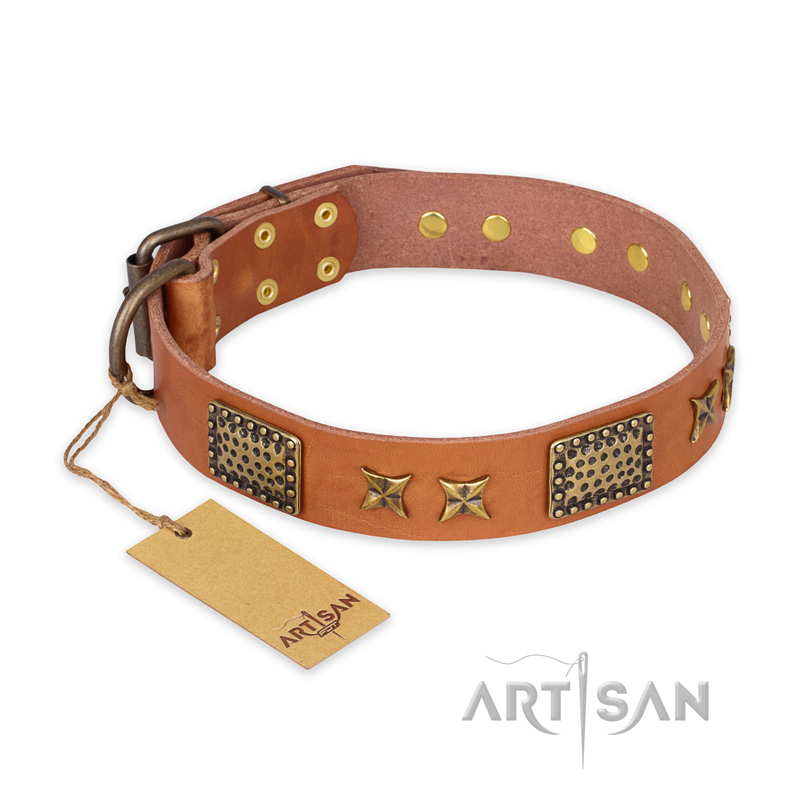 "Cosmic Traveller" FDT Artisan Adorned Leather Mastiff Collar with Old Bronze-Plated Stars and Plates