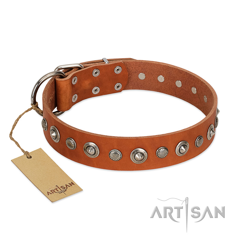 "Gorgeous Roundie" FDT Artisan Tan Leather Mastiff Collar with Chrome-plated Circles