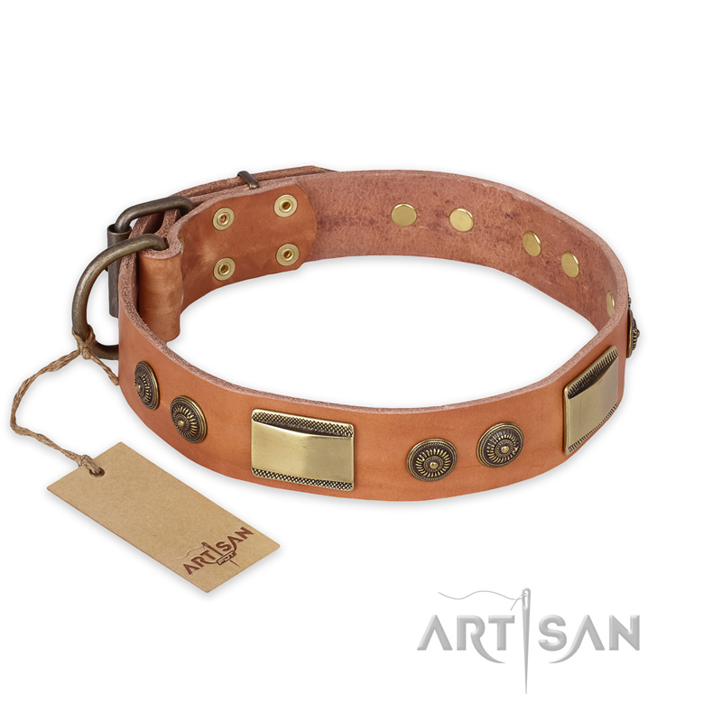"Lost Desert" FDT Artisan Leather Mastiff Collar with Brass Decorations