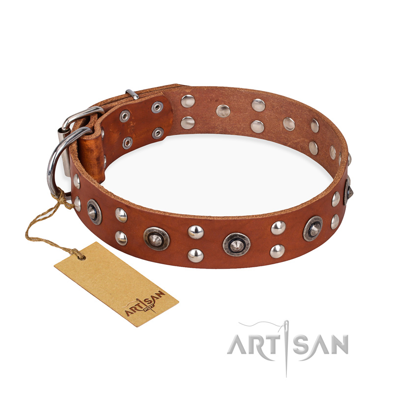"Silver Elegance" FDT Artisan Decorated Leather Mastiff Collar with Old Silver-Like Plated Studs and Cones