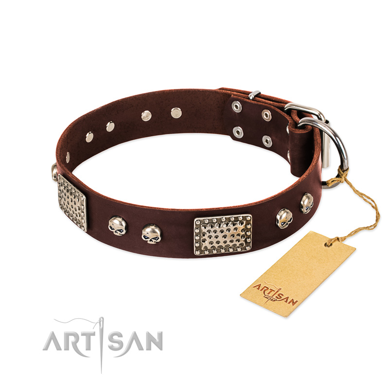 "Pirate Skull" FDT Artisan Brown Leather Mastiff Collar with Old Silver Look Plates and Skulls