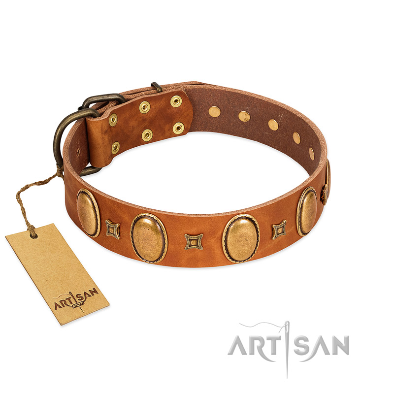 "Glossy Autumn" Designer Handmade FDT Artisan Tan Leather Mastiff Collar with Ovals and Studs